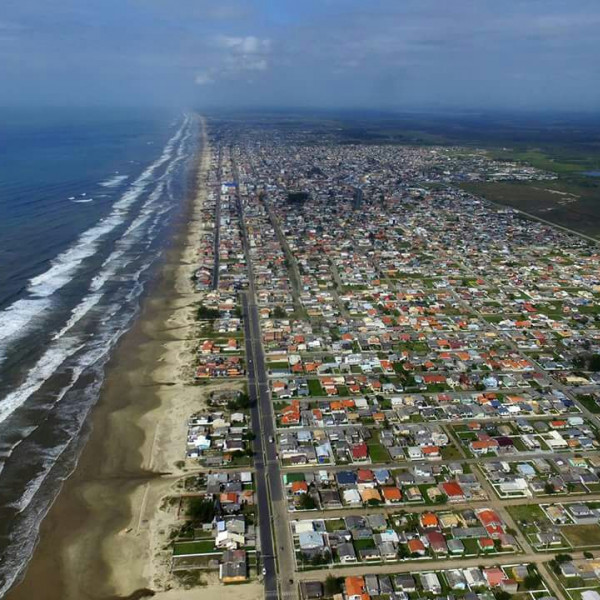 2933136_resample_600_600