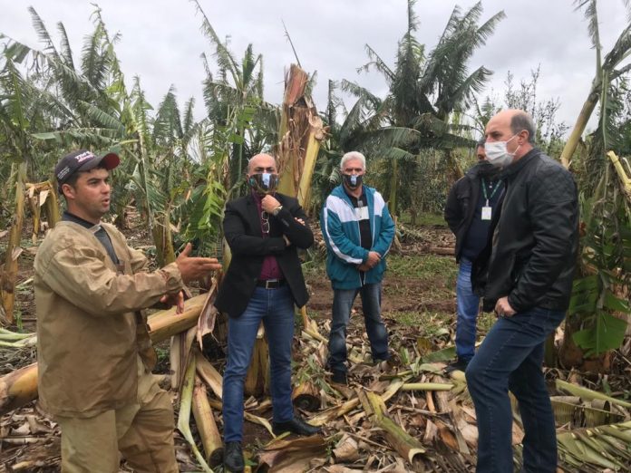 WhatsApp Image 2020-07-06 at 19.18.11