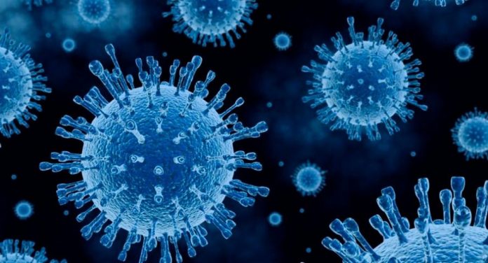 coronavirus-890x480