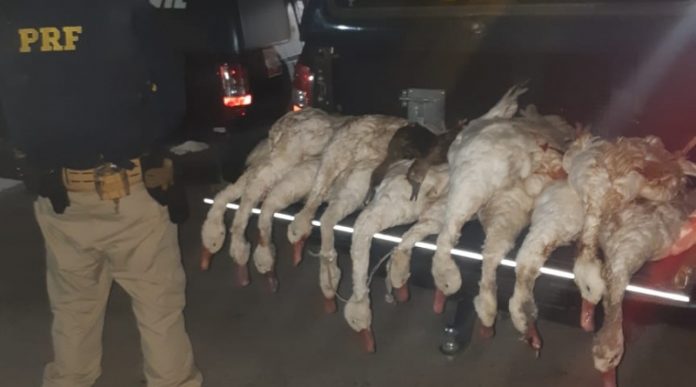 57e33952-4d13-4973-a796-67c91a585cbb-800x445