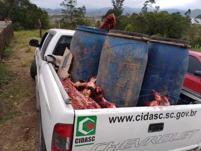 WhatsApp Image 2020-08-15 at 10.24.00