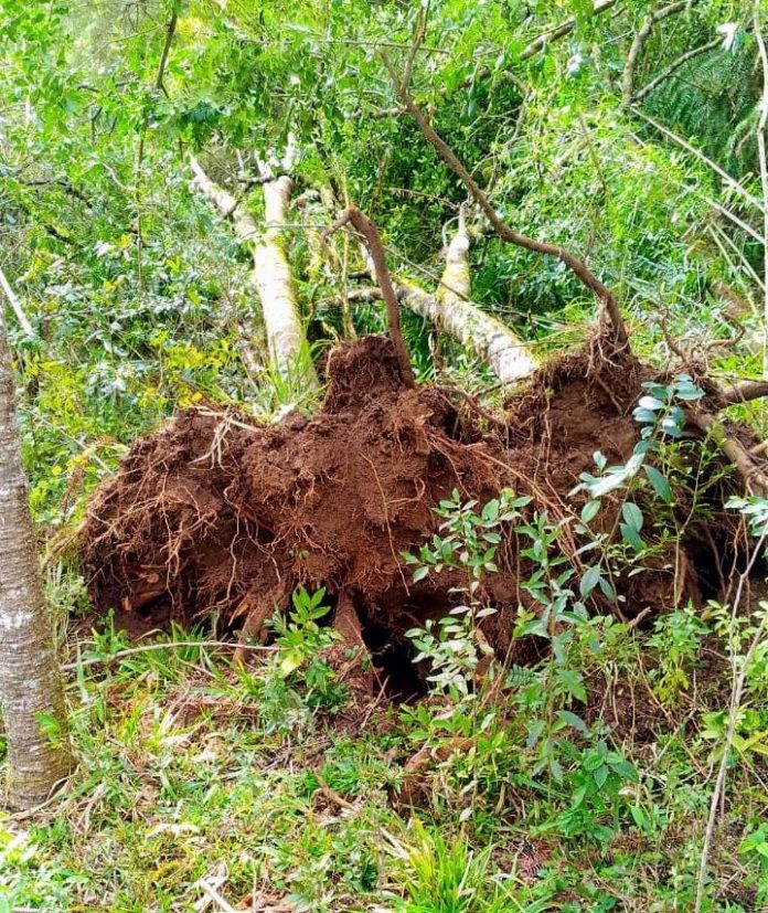 WhatsApp Image 2020-08-25 at 15.04.51