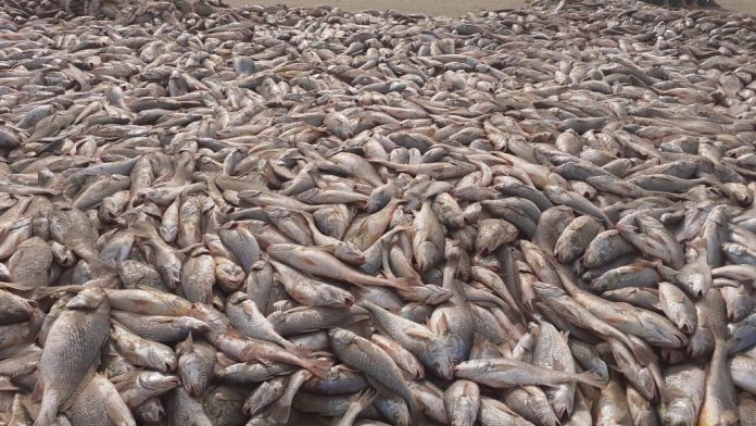 WhatsApp Image 2020-09-15 at 16.17.18