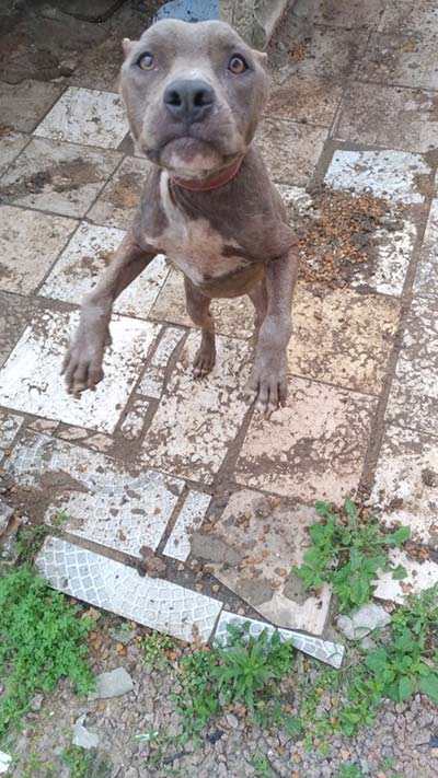 WhatsApp-Image-2020-10-22-at-16.05