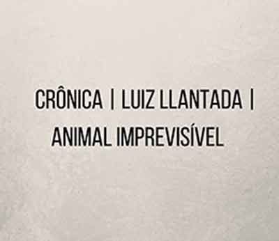 Crônica-_-Luiz-Llantada-_-Animal-imprevisível