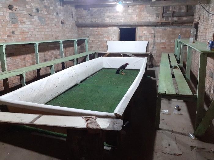 WhatsApp Image 2020-11-08 at 17.33.46