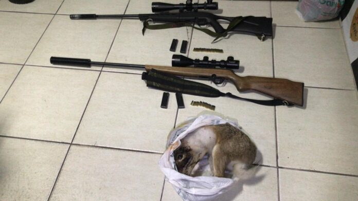 WhatsApp Image 2020-12-16 at 09.07.56