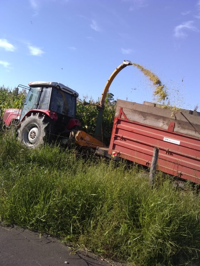 WhatsApp Image 2021-02-11 at 11.33.48