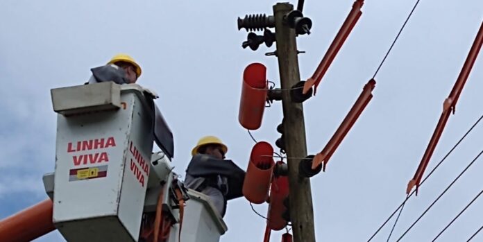 curso linha viva (5)