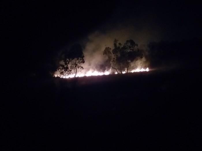 55bd622b-762c-45e5-8e60-66641cbb7a7b