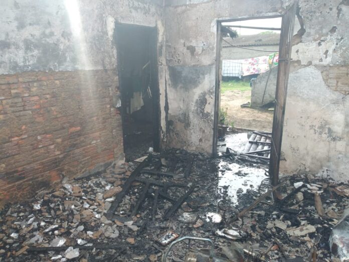 WhatsApp Image 2021-03-03 at 17.24.10