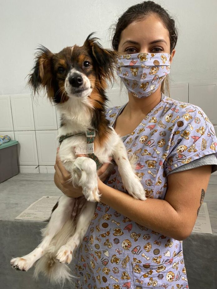 1b103534-5abe-4bf3-a21c-50690813ed2b