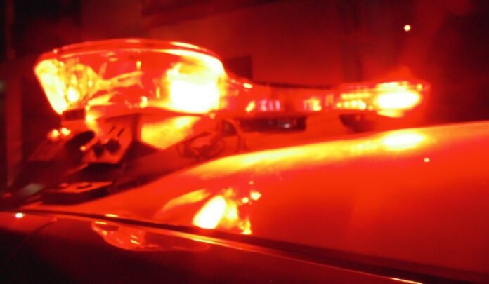 7d1cbd01-f06d-42da-9251-378d1f2c118f