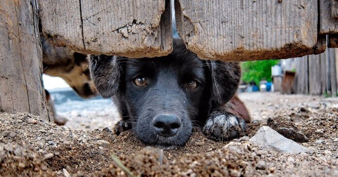 e3fbc097-aca4-45f6-9571-8beb45e527e1