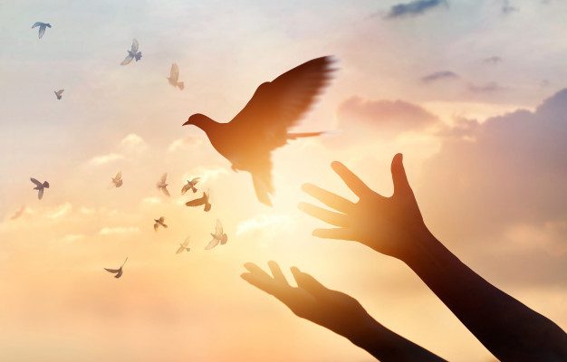 liberdade-religiosa-3-626x400