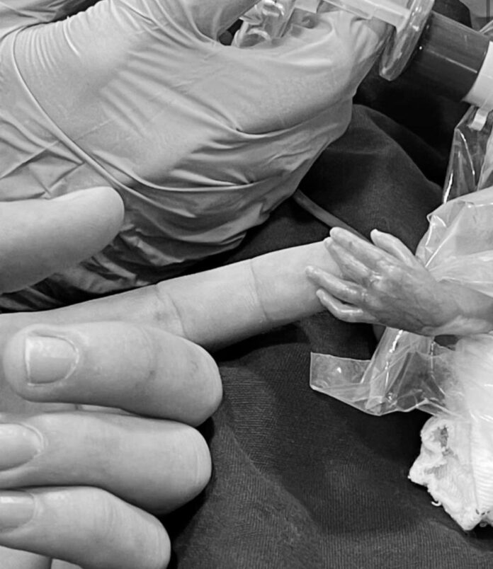 738b01f2-cde9-4a2b-96d0-61b631e758ef