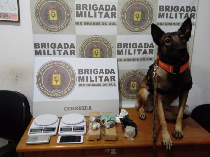 d156089e-b87c-49a1-bef6-f2a77ed1ffdb