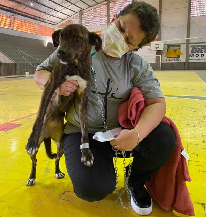 da44b7ce-09af-4562-b267-8bae8c7b91b3