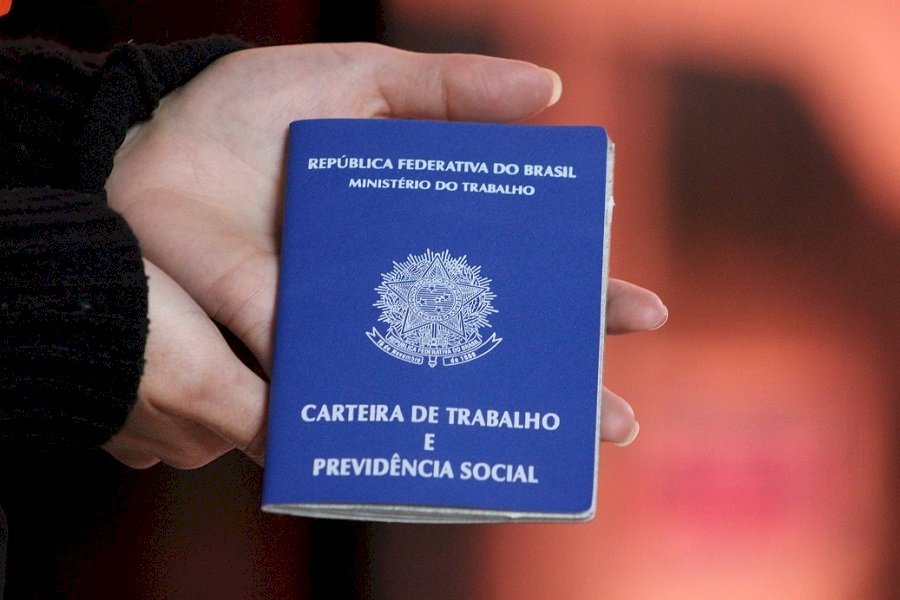 Sine de Santa Catarina tem 5.145 vagas de emprego - Portal Amorim