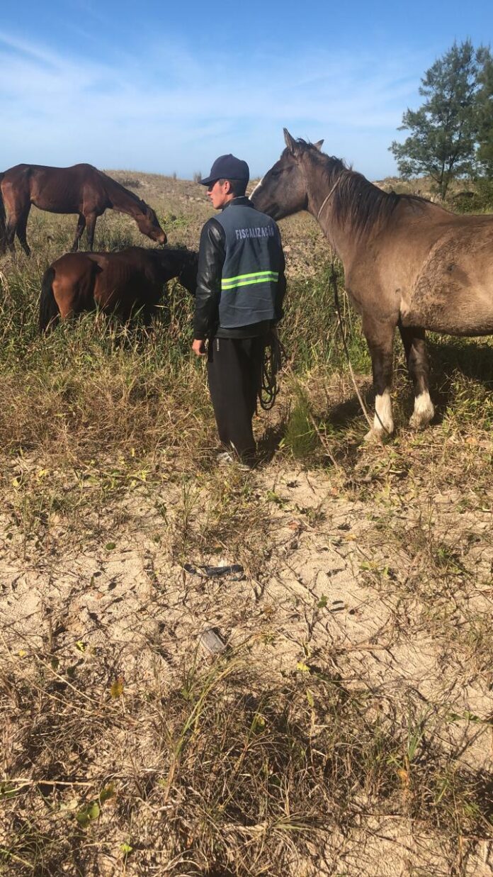 17642184-0c89-4c8b-9a00-be5721544dfd