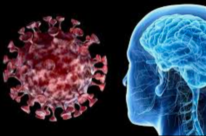 coronavirus-afeta-as-celulas-do-cerebro-imagem-1588180434
