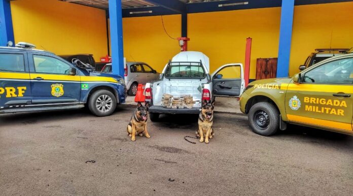 d3cafce7-dc3c-4906-9ace-b814292f836a