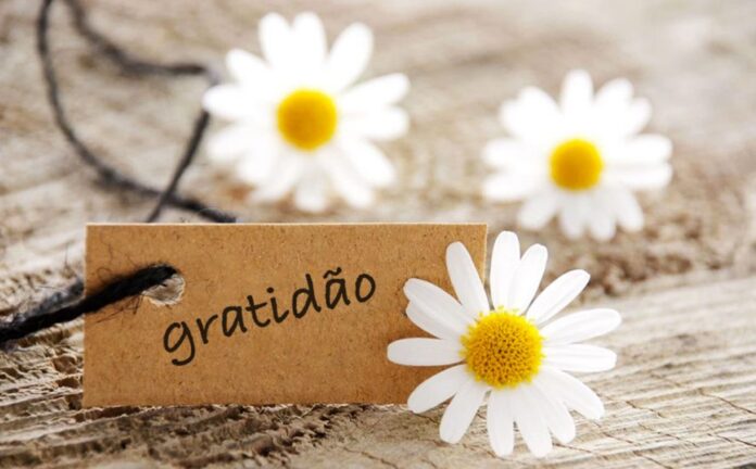 11-25-Coluna-Gratidao-1024x685-1