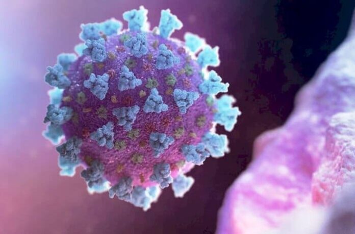 16275047542380 (1) (1)