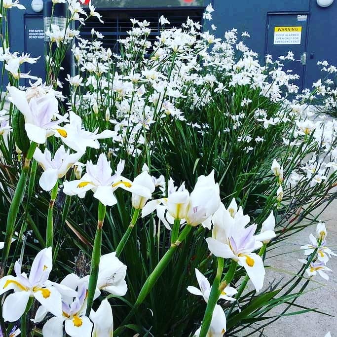 222304703_4473172509373438_5101666150605906925_n