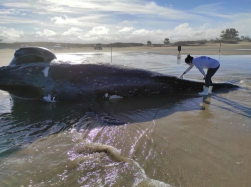 WhatsApp-Image-2021-07-16-at-15.43.22-e1626461123929