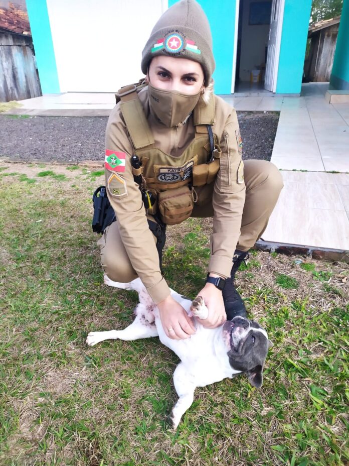 c8b91aaa-cfd4-40f4-9b2c-27913d92efeb