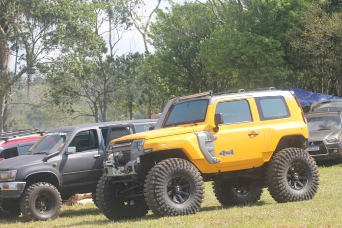 9c674ced-9c46-4664-91a8-78f6b953da26 (1)