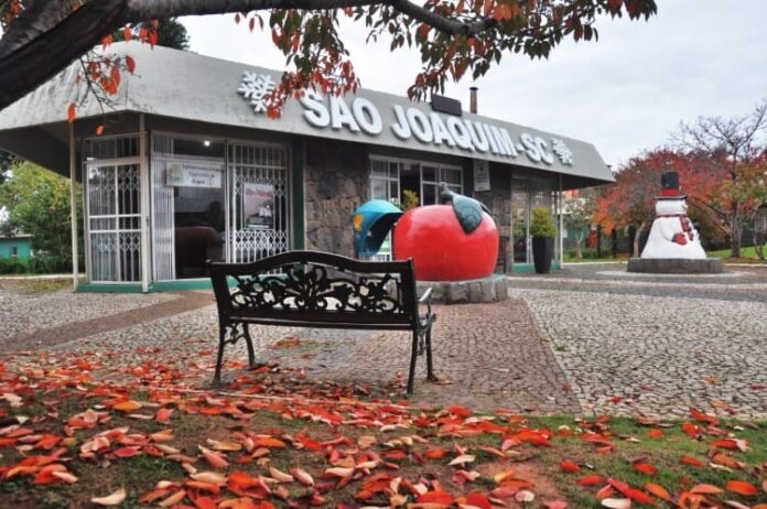 WhatsApp-Image-2019-04-23-at-14.05.44 (1)