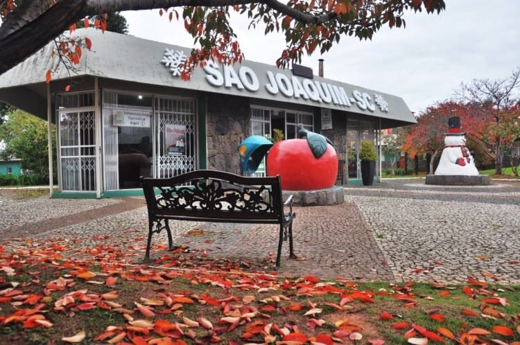 WhatsApp-Image-2019-04-23-at-14.05.44 (1)