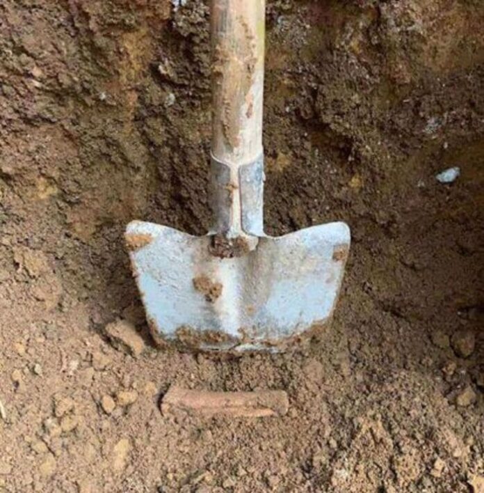 XNUY2WCDPZBM7CQR2CDE5IVRFY (1)