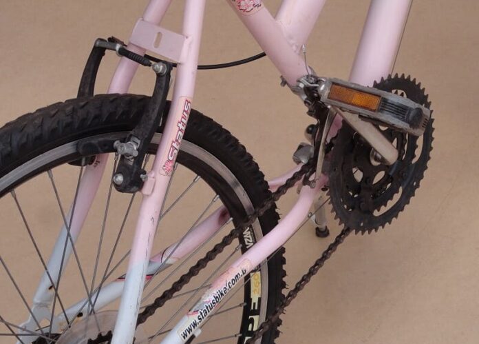 belissima_aro_24_6_ (1)