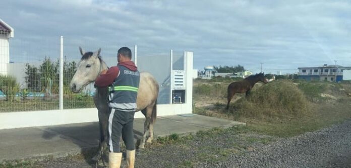 cabaeef4-6041-4fc5-bcfa-77d446638944 (1)