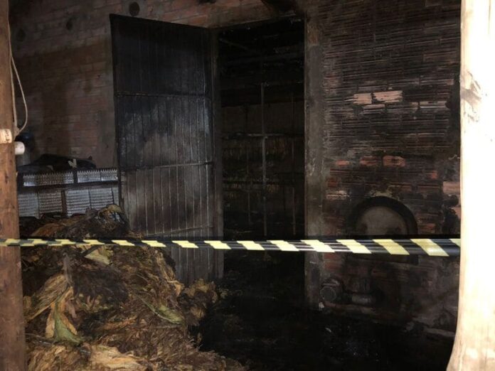 03b32f9a-cfd6-4ba8-a1af-b938c2ad081c (1)