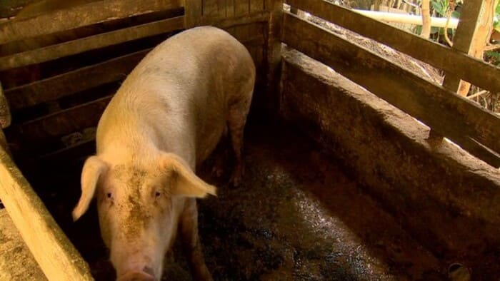 5c1fdb7d-f95b-4b6b-8345-878d691c25a1 (1)