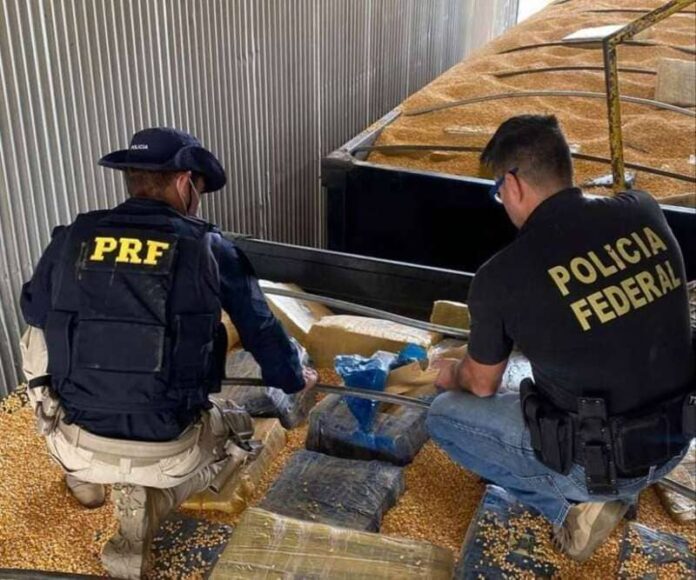 b7e3722a-b98a-4cce-a006-4cfb0e82faa5_1 (1)