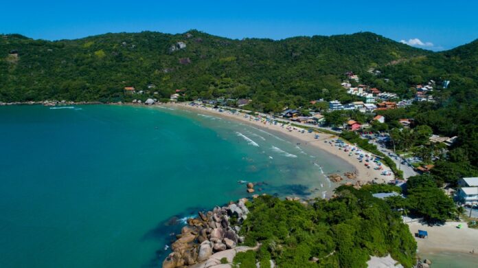 2922431-resize-1500-1500