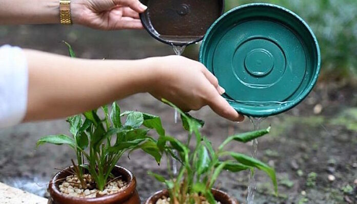 image_processing20200201-29235-1n8ldg4