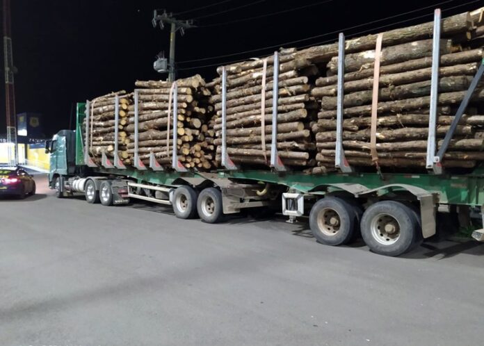 7496c2d8-cace-4f71-9c8e-c15279a6bbb8