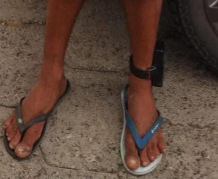 c55b99d5-3d09-4100-b1b6-a0339d803208