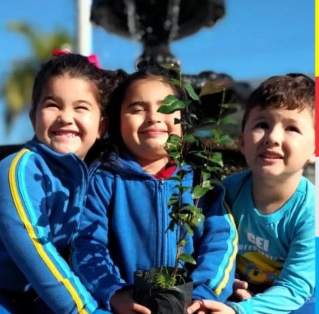 e7d82ac3-8983-4291-8aac-ca86781c11d5