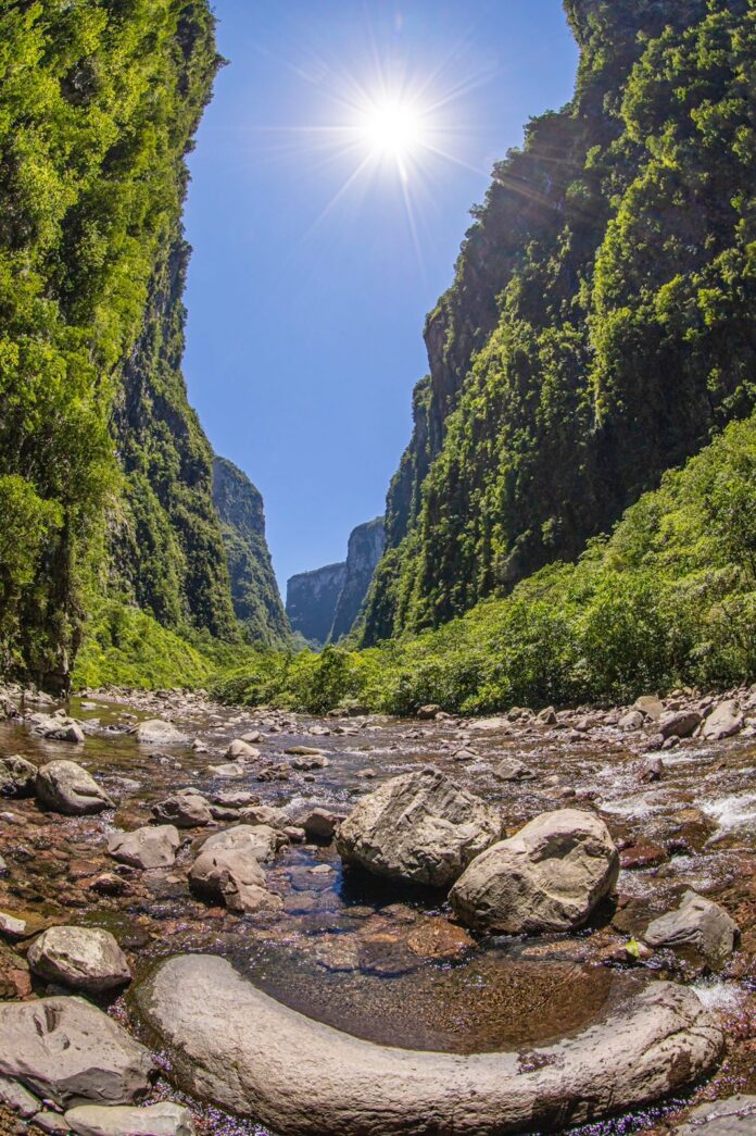 5ef4421a-bc1e-4a92-8bb4-284a0564f9ff