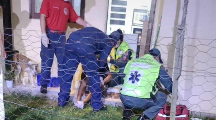 802da4a2-e907-41e8-a290-2f47601fb473