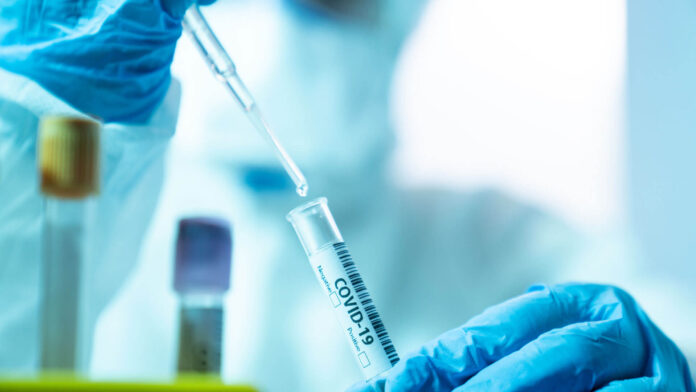 Como-surgiu-o-coronavirus