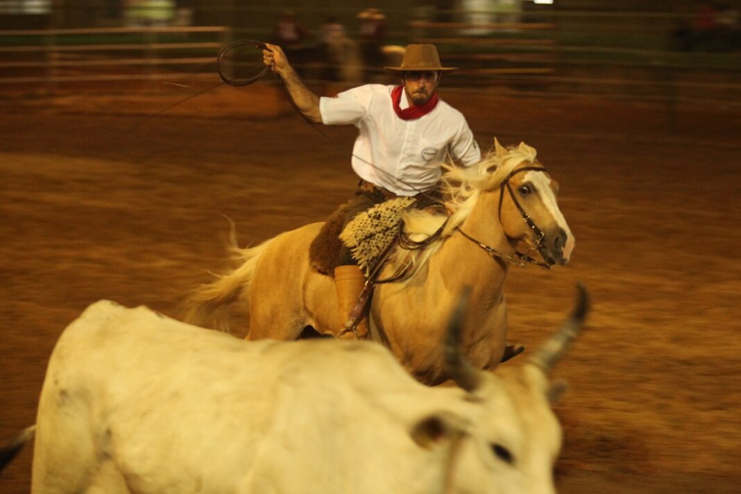 e6da8da8-7558-41ac-85fc-ee04d666bd98