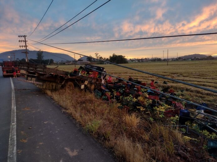 fb58aa40-eee2-42ce-8f12-7cd62b84d776